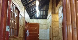 Passive Income Beach house wd nipa huts for sale in Nasugbu Batangas