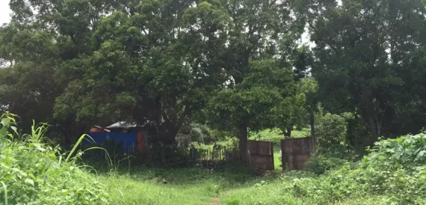 4ha Farm Lot with Mountain View in Tuy Batangas
