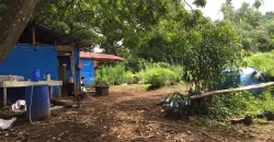 4ha Farm Lot with Mountain View in Tuy Batangas