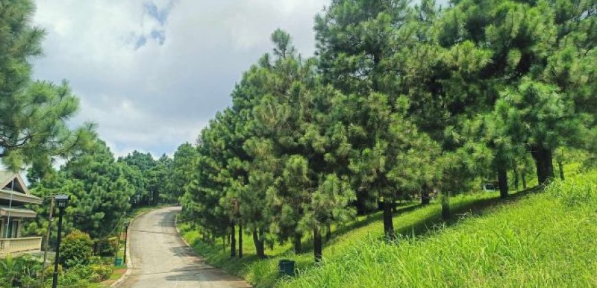 CROSSWINDS LOT FOR SALE RUSH! Crosswinds, Tagaytay