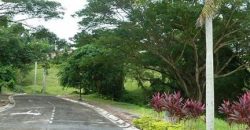 Price down fr 29k to P21,000/sm : Wedgewoods, Residential lot in Silang, Cavite