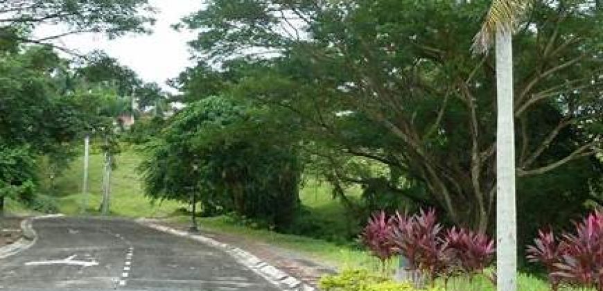 Price down fr 29k to P21,000/sm : Wedgewoods, Residential lot in Silang, Cavite