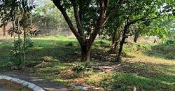 Price down fr 29k to P21,000/sm : Wedgewoods, Residential lot in Silang, Cavite