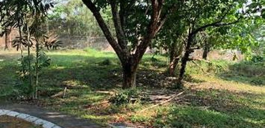 Price down fr 29k to P21,000/sm : Wedgewoods, Residential lot in Silang, Cavite