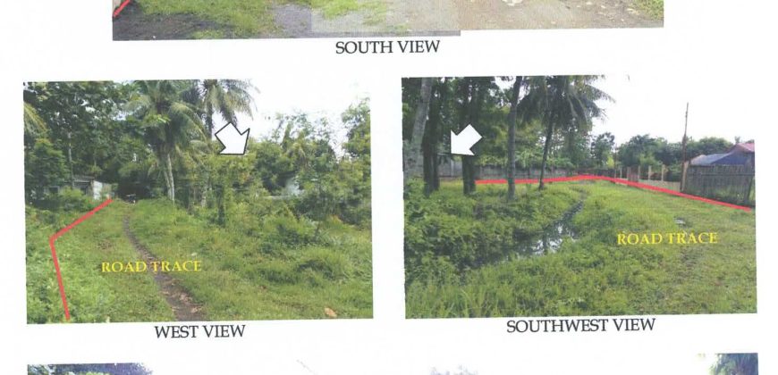 Foreclosed House and Lot in Bacolod, Negros Occidental (Philippine Veterans Bank)