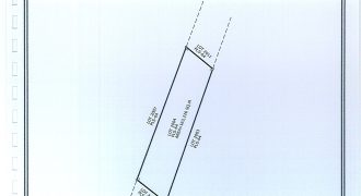 Foreclosed Agricultural Lot in Allacapan, Cagayan · Lot 2004 (Philippine Veterans Bank)