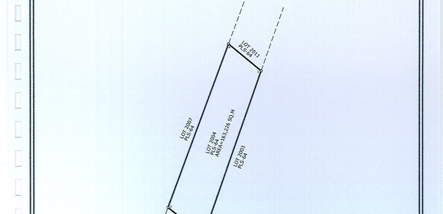 Foreclosed Agricultural Lot in Allacapan, Cagayan · Lot 2004 (Philippine Veterans Bank)