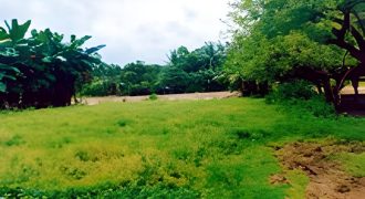 Foreclosed Residential Lot in San Jose, Occidental Mindoro
