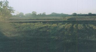 Foreclosed Residential Lot in San Jose, Occidental Mindoro