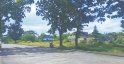 Foreclosed Residential Lot in Trece Martires City, Cavite · Lot 50 Block 3 (Philippine Veterans Bank)