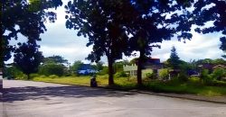 Foreclosed Residential Lot in Trece Martires City
