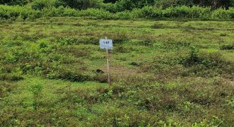Foreclosed Agricultural Lot in San Miguel, Bulacan (Philippine Veterans Bank) #7