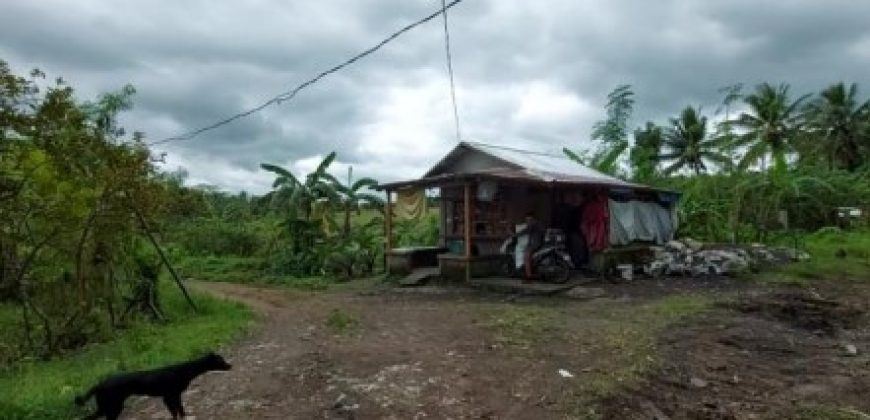 Foreclosed Residential Lot in Daraga (Locsin), Albay · Blk 4 (Philippine Veterans Bank) #66