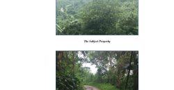 Foreclosed Property in Norzagaray, Bulacan · Lot 25 (Bangko Sentral ng Pilipinas)