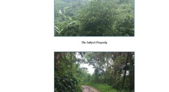 Foreclosed Property in Norzagaray, Bulacan · Lot 25 (Bangko Sentral ng Pilipinas)