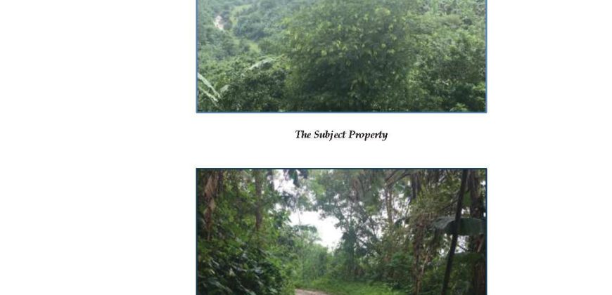 Foreclosed Property in Norzagaray, Bulacan · Lot 25 (Bangko Sentral ng Pilipinas)