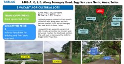 Foreclosed Agricultural Lot in Tarlac, North Luzon – Along Brgy. Road (Security Bank)