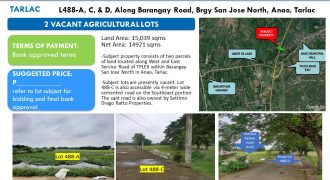 Foreclosed Agricultural Lot in Tarlac, North Luzon – Along Brgy. Road (Security Bank)