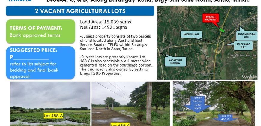 Foreclosed Agricultural Lot in Tarlac, North Luzon – Along Brgy. Road (Security Bank)