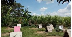 Foreclosed Property in Dasmariñas City, Cavite, Luzon #6