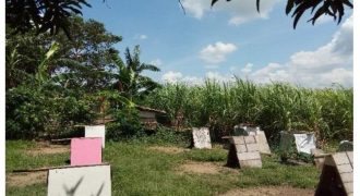 Foreclosed Property in Dasmariñas City