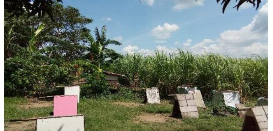 Foreclosed Property in Dasmariñas City, Cavite, Luzon #6