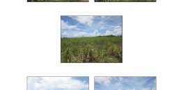 Foreclosed Property in Dasmarinas, Cavite · Lot 6613 (Bangko Sentral ng Pilipinas)