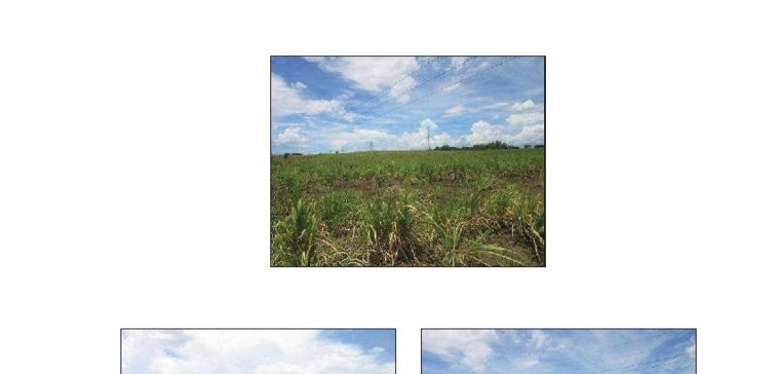 Foreclosed Property in Dasmarinas, Cavite · Lot 6613 (Bangko Sentral ng Pilipinas)