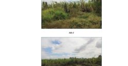 Foreclosed Property in Dasmarinas, Cavite · Lot 3854 (Bangko Sentral ng Pilipinas)