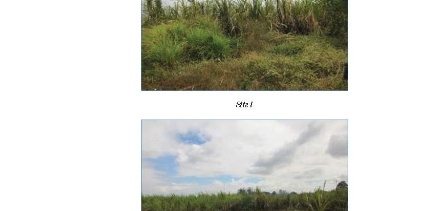 Foreclosed Property in Dasmarinas, Cavite · Lot 3854 (Bangko Sentral ng Pilipinas)