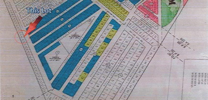 Foreclosed House and Lot in Tarlac – Salem Estate Phase 1 (Philippine Veterans Bank)