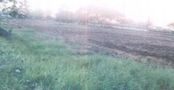 Foreclosed Residential Lot in San Jose, Occidental Mindoro, Luzon #83