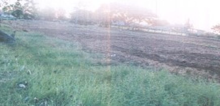 Foreclosed Residential Lot in San Jose, Occidental Mindoro, Luzon #83