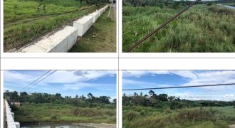 Foreclosed Residential Lot in Lambunao, Iloilo – L 20 Blk 9 Don Venancio Village (Philippine Veterans Bank)
