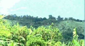 Foreclosed Agricultural Lot in Dinalupihan, Bataan (Philippine Veterans Bank)