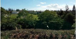 Foreclosed Residential Lot in Tagaytay City, Cavite, Luzon #2