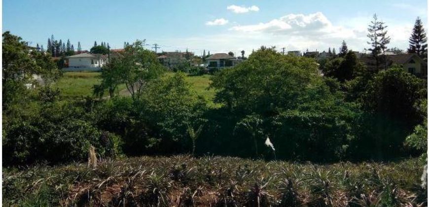 Foreclosed Residential Lot in Tagaytay City, Cavite, Luzon #2