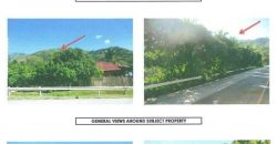 Foreclosed Property in Malungon, Sarangani – National Highway (Bangko Sentral ng Pilipinas)