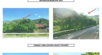 Foreclosed Property in Malungon, Sarangani – National Highway (Bangko Sentral ng Pilipinas)