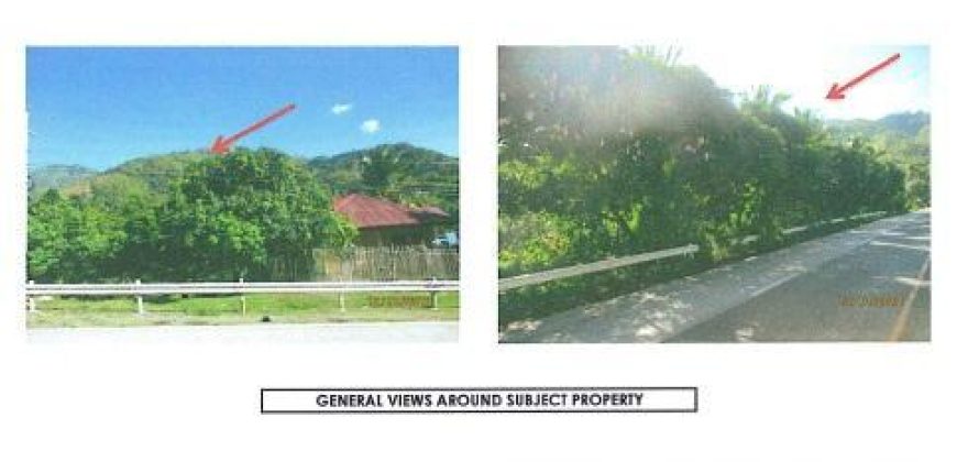 Foreclosed Property in Malungon, Sarangani – National Highway (Bangko Sentral ng Pilipinas)