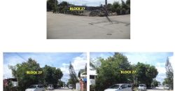Foreclosed Residential Lot in Las Pinas City, Metro Manila · Lot 16 Blk 27 (Bangko Sentral ng Pilipinas)