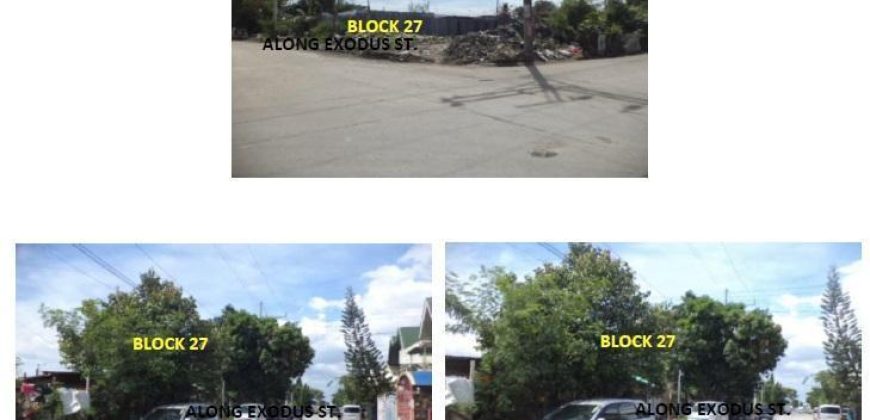 Foreclosed Residential Lot in Las Pinas City, Metro Manila · Lot 16 Blk 27 (Bangko Sentral ng Pilipinas)