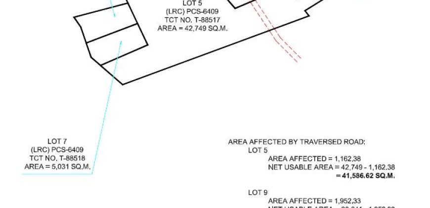 Foreclosed Property in Laurel, Batangas · Lot 8 (Bangko Sentral ng Pilipinas)