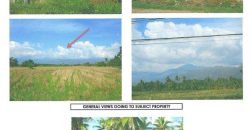 Foreclosed Property in Davao City