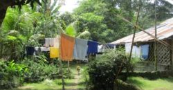 Foreclosed House and Lot in Janiuay, Iloilo (Bangko Sentral ng Pilipinas)