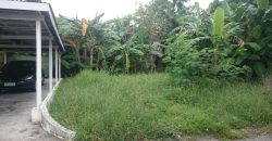 Foreclosed Residential Lot in Las Pinas City, Metro Manila · Lot 2 Blk 1 (Bangko Sentral ng Pilipinas)