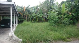 Foreclosed Residential Lot in Las Piñas City