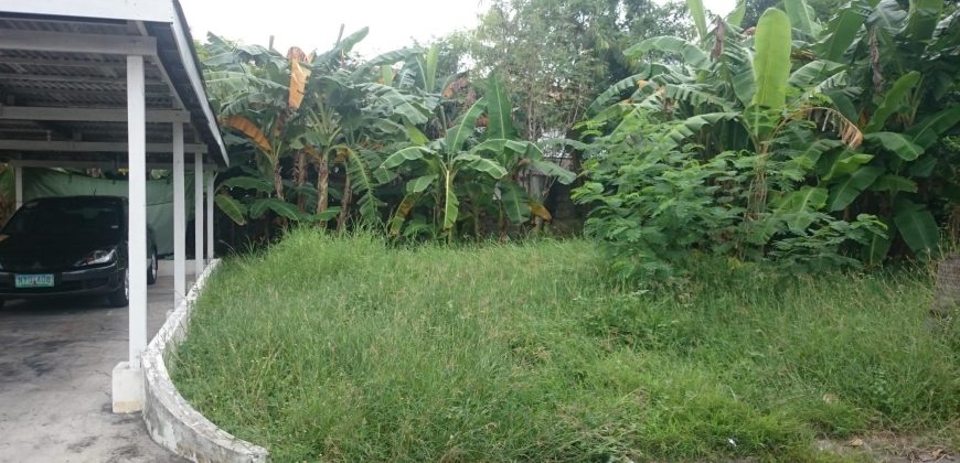 Foreclosed Residential Lot in Las Pinas City, Metro Manila · Lot 2 Blk 1 (Bangko Sentral ng Pilipinas)