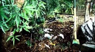 Foreclosed House and Lot in Dasmariñas City