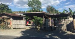Foreclosed Residential Lot in Patnongon, Antique